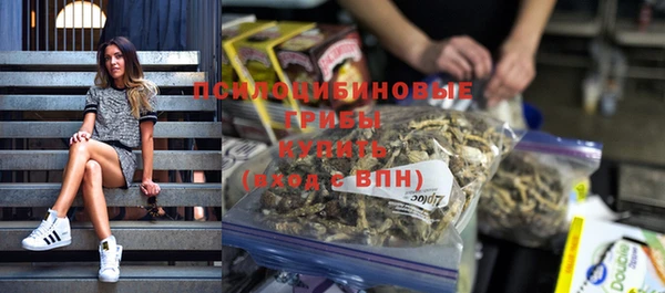spice Верхний Тагил