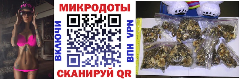 Купить где  Чистополь  Псилоцибиновые грибы Cubensis 